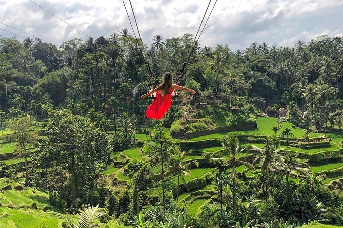 Ubud : Monkey Forest - Jungle Swing - Rice Terrace - Water Temple and Waterfall